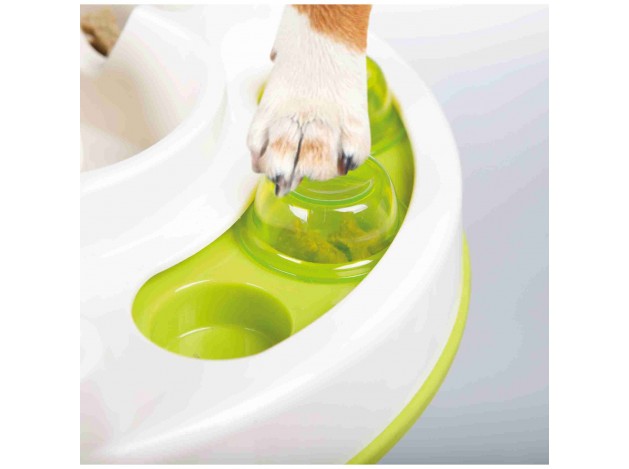 Juego Interactivo Slide & Feed