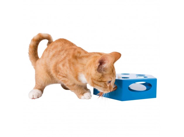 Turning Feather - Pack de 2 unidades