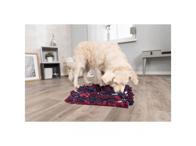 Alfombra para Olfatear