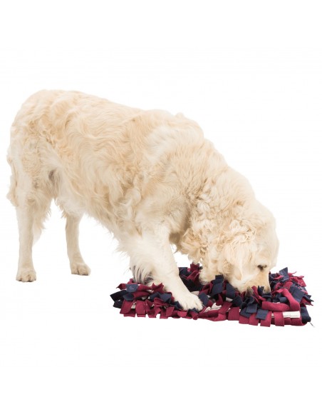 Alfombra para Olfatear