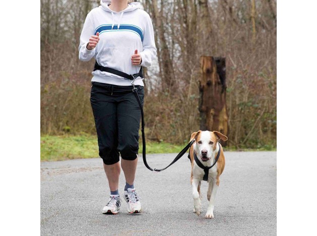 Cinturón con Correa, Canicross