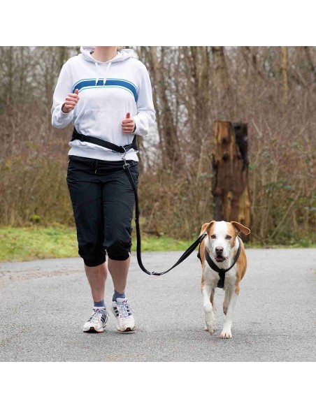 Cinturón con Correa, Canicross