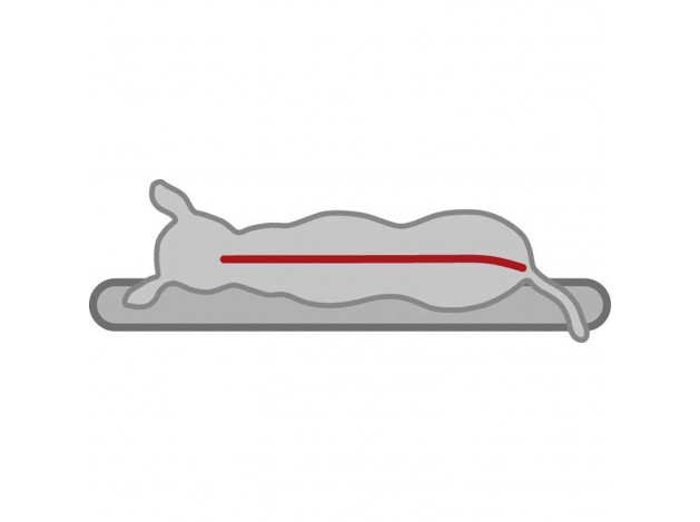 Colchoneta Ortopédica para Perros Vital Bendson