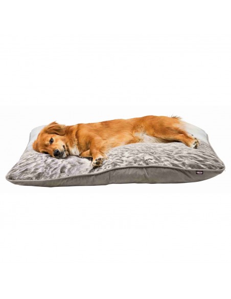 Cojín para Perros Beach