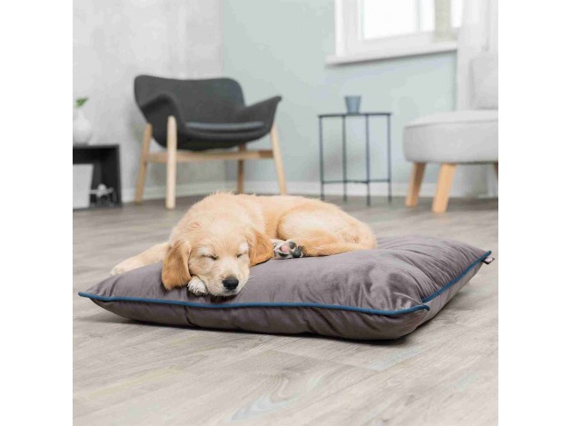 Cojín para Perros Love your Pet