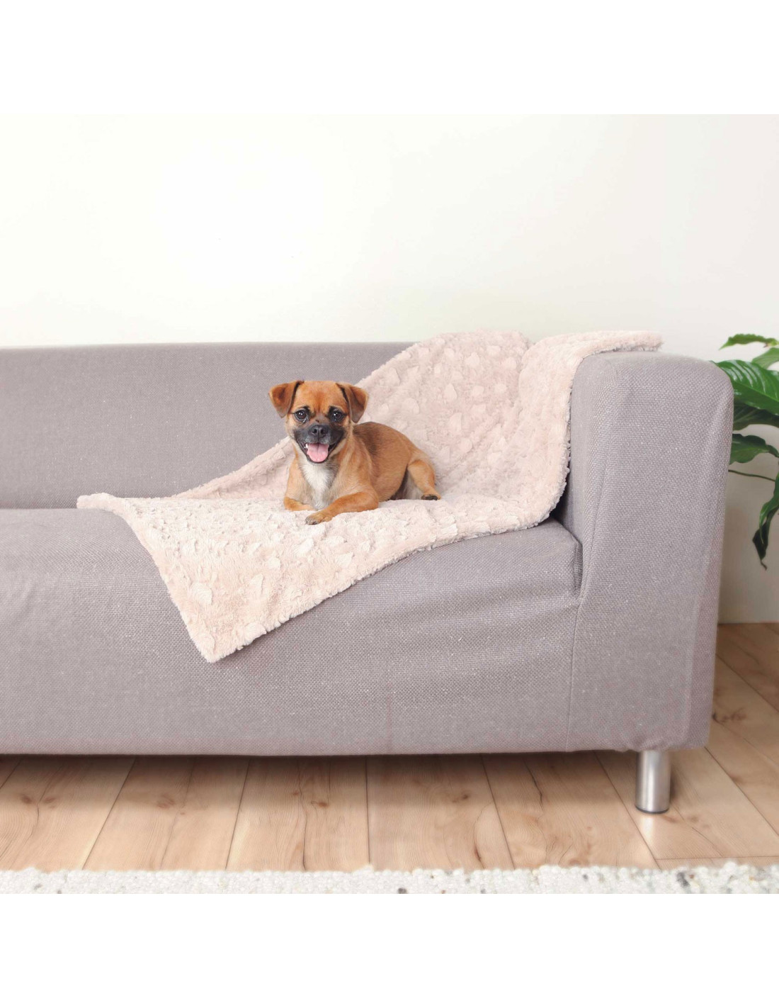 Cama para perro con manta incluida