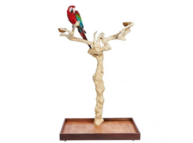 Java Tree BL New