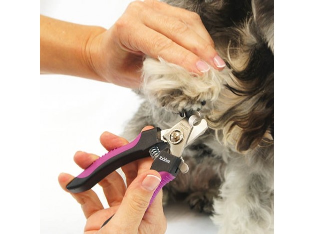 Cortaúñas para perros y gatos