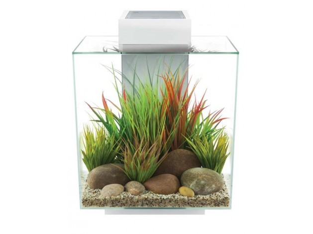 Acuario Fluval Edge 2.0