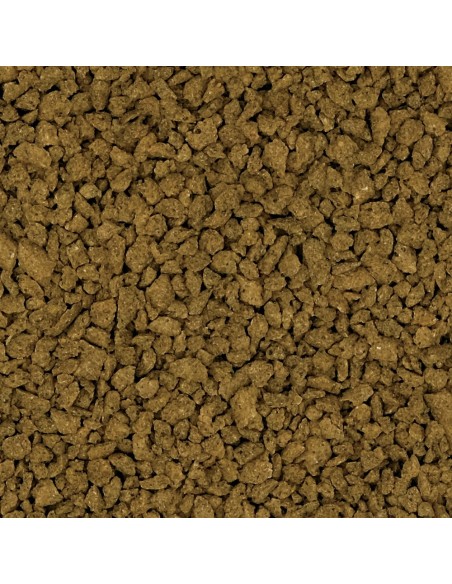 Gránulos Fluval Bug Bites Color