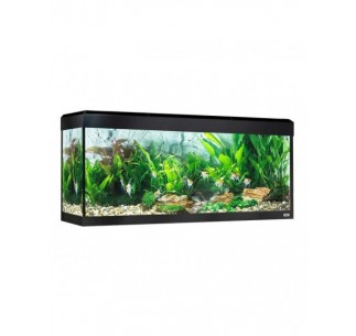 Acuario Fluval Roma LED Bluetooth 240L