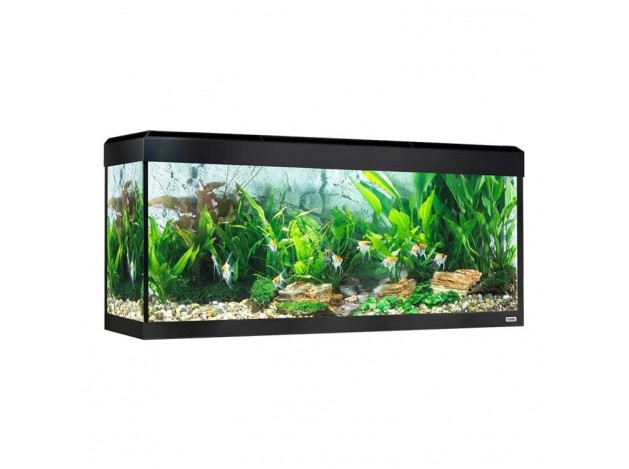 Acuario Fluval Roma LED Bluetooth 240L