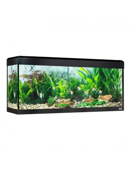 Acuario Fluval Roma LED Bluetooth 240L
