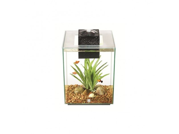 Fluval Chi II Nano Acuario