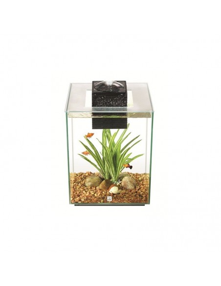 Fluval Chi II Nano Acuario