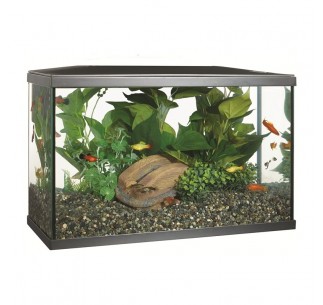 KIT ACUARIO MARINA 38 LITROS