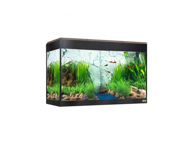 Acuario Fluval Roma LED Bluetooth 125L