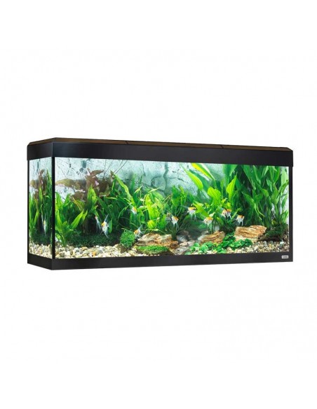 Acuario Fluval Roma LED Bluetooth 240L
