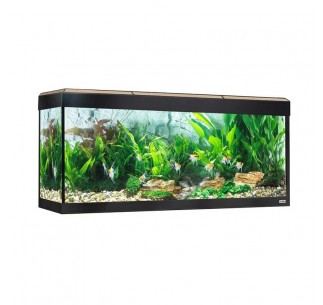 Acuario Fluval Roma LED Bluetooth 240L 2