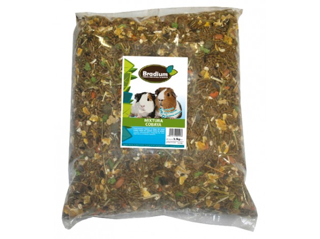 Comida Cobaya Bradium