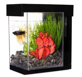 Bettera Ez Care Kit Marina Betta 2.5 lts