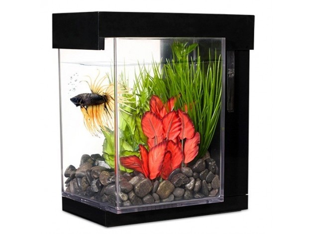 Bettera Ez Care Kit Marina Betta 2.5 lts