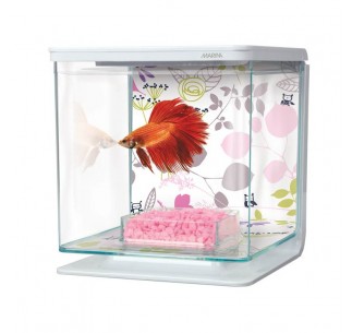Bettera Kit Marina Betta