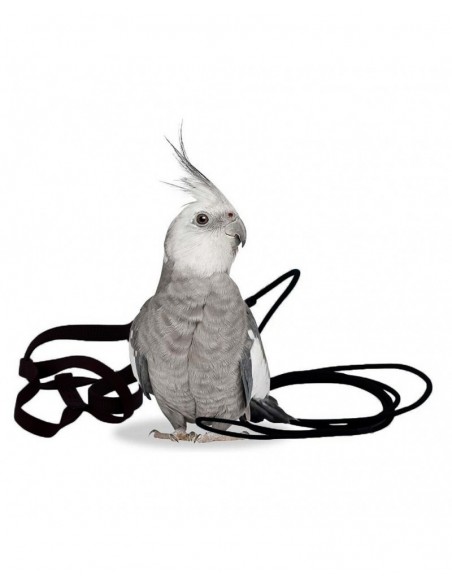 Arnés Aviator Petite