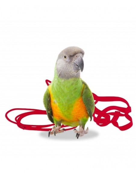 Arnés Aviator XSmall