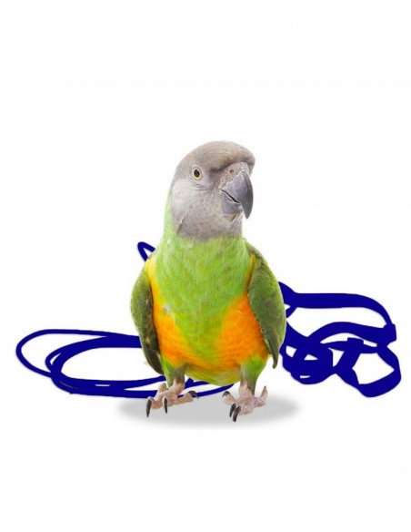 Arnés Aviator XSmall