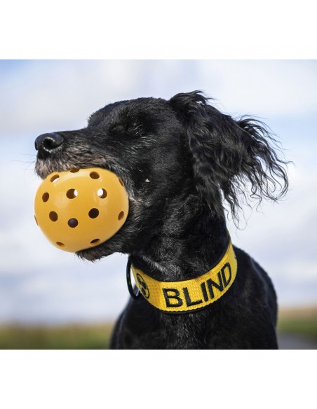 Pelota con agujeros - Pack de 4 unidades
