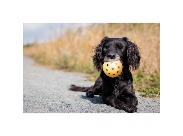 Pelota con agujeros - Pack de 4 unidades