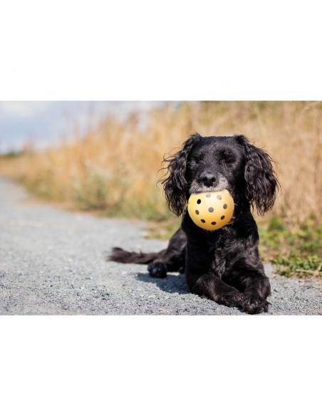 Pelota con agujeros - Pack de 4 unidades