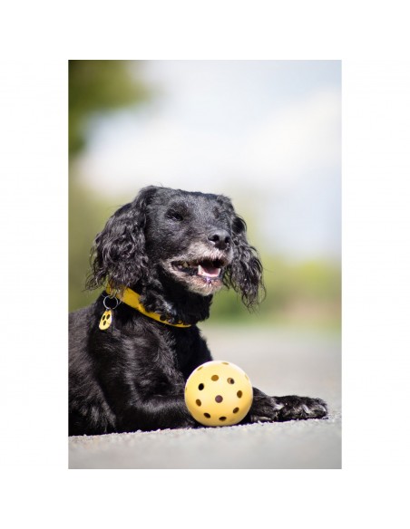 Pelota con agujeros - Pack de 4 unidades