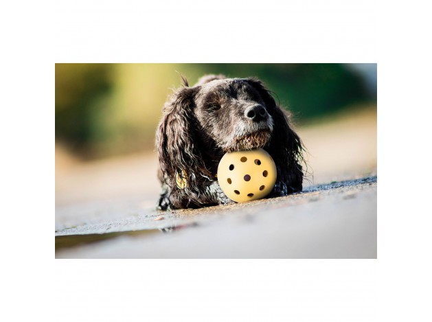 Pelota con agujeros - Pack de 4 unidades