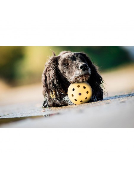 Pelota con agujeros - Pack de 4 unidades