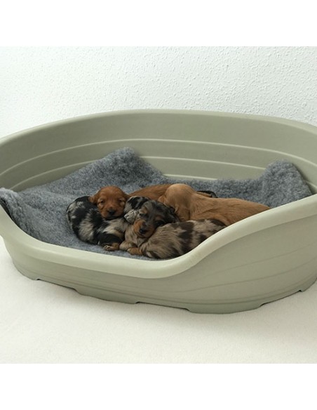 Cuna Plástico para perros de  Paridera