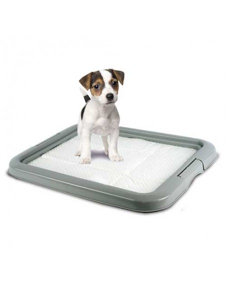 Educador "para el pis y la caca"