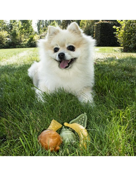 Snack para perros Garden Bites Fruity Friends