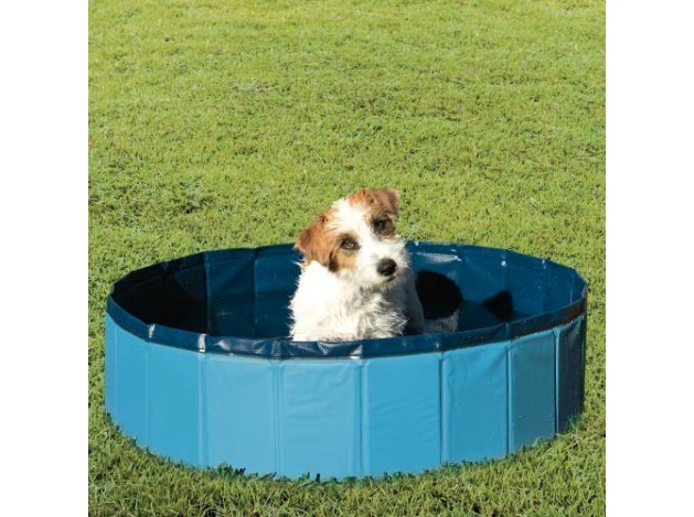 Piscina de Perros Ibañez