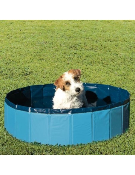 Piscina de Perros Ibañez