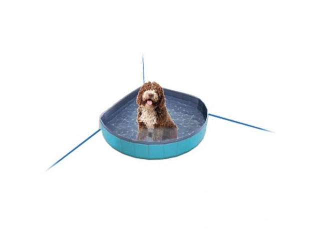 Piscina de Perros Ibañez