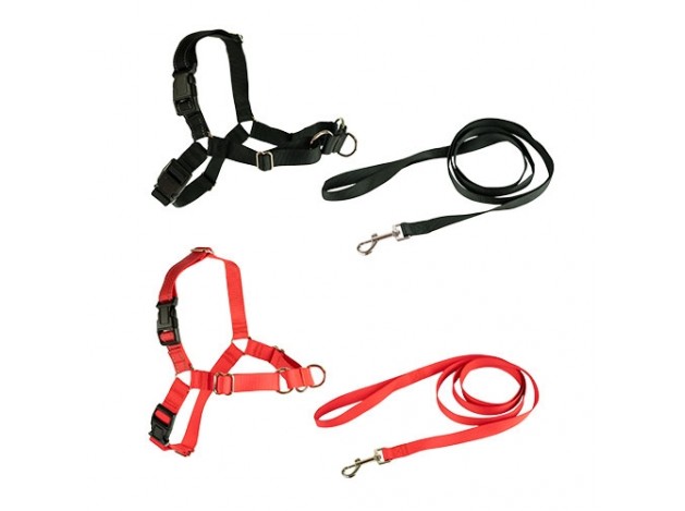 Stop-pulling Arnés y Correa Ibáñez Dogway