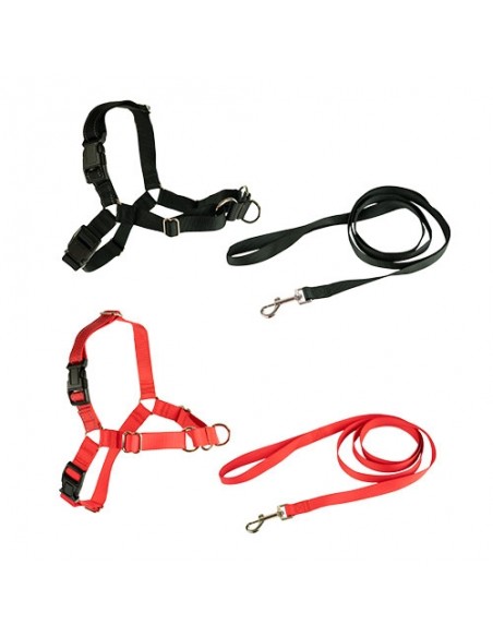 Stop-pulling Arnés y Correa Ibáñez Dogway