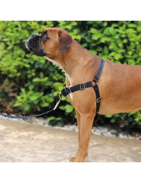 Stop-pulling Arnés y Correa Ibáñez Dogway