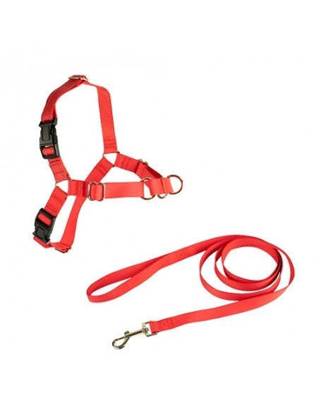 Stop-pulling Arnés y Correa Ibáñez Dogway