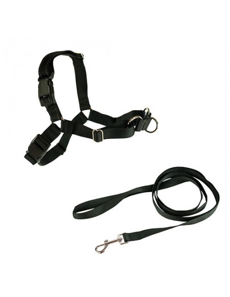 Stop-pulling Arnés y Correa Ibáñez Dogway