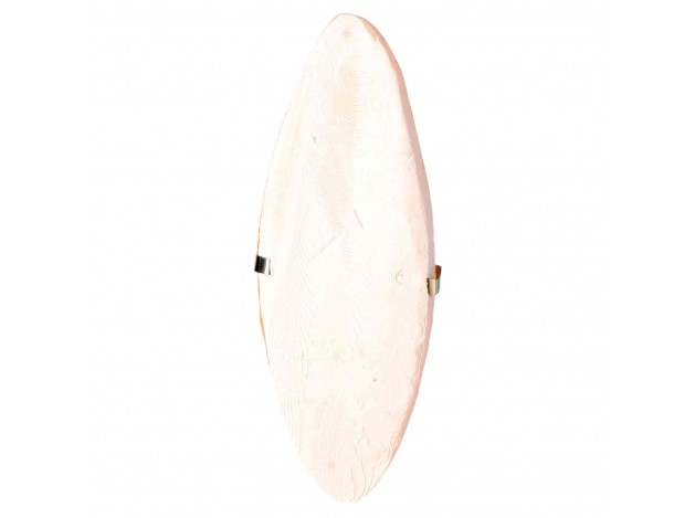 Duvo Hueso jibia recompensa