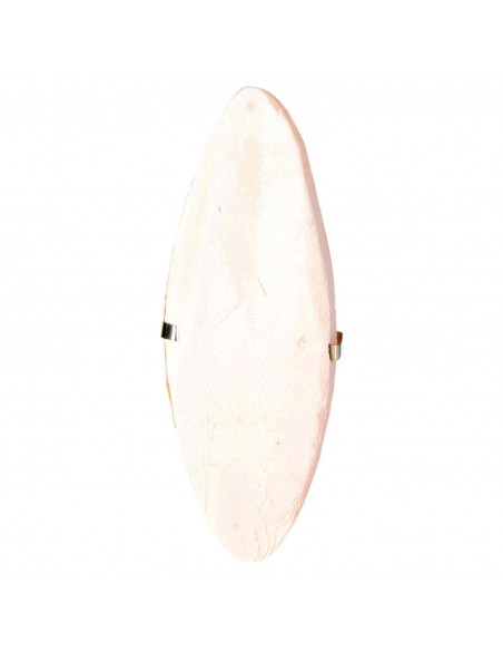 Duvo Hueso jibia recompensa