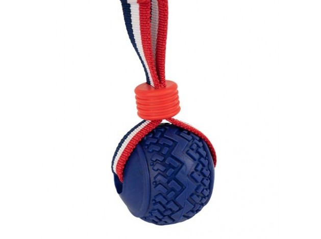 Lanzador elástico con pelota